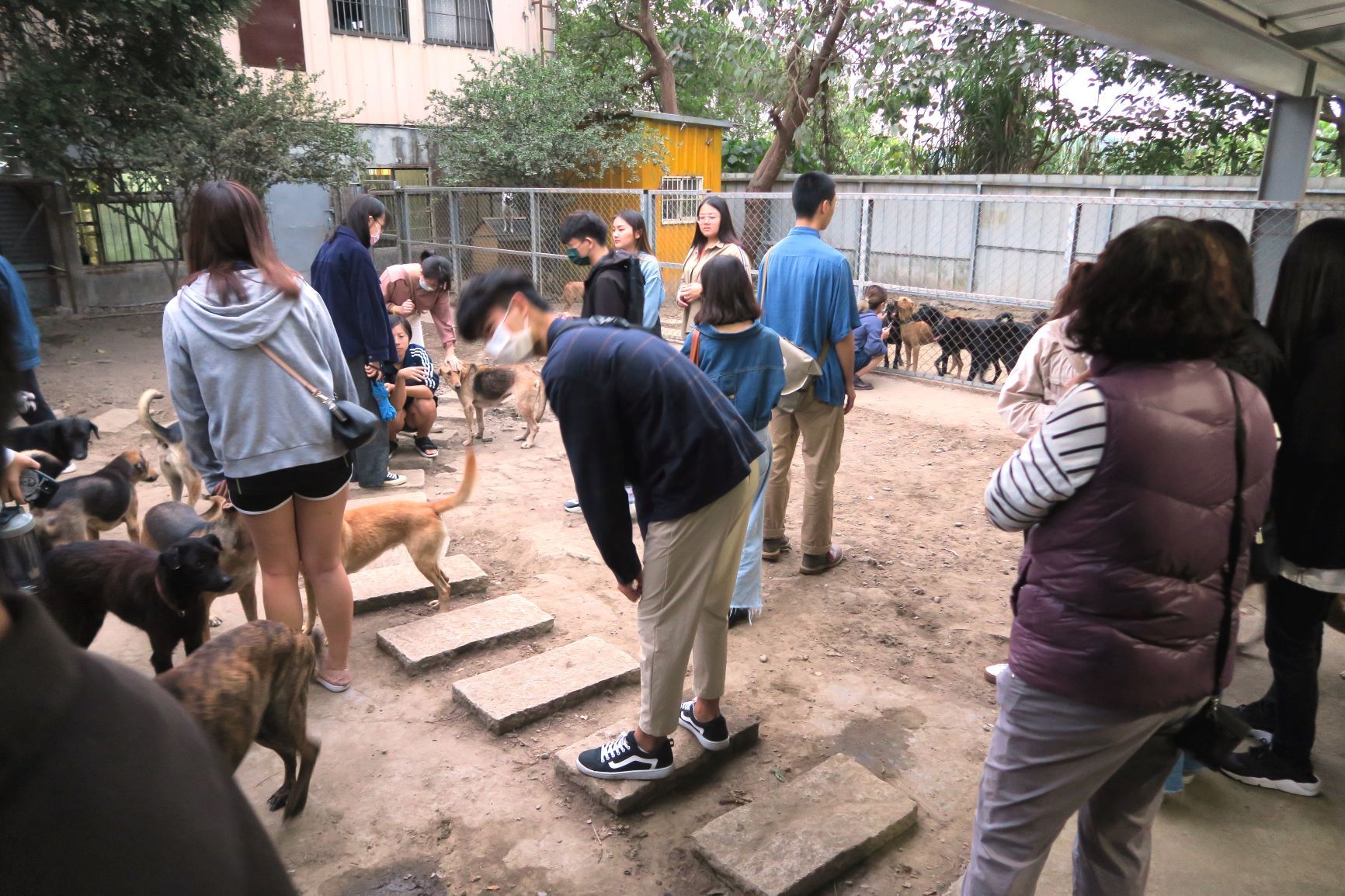 亚大商设系同学参观「狗狗山」狗园内流浪狗的生活区。